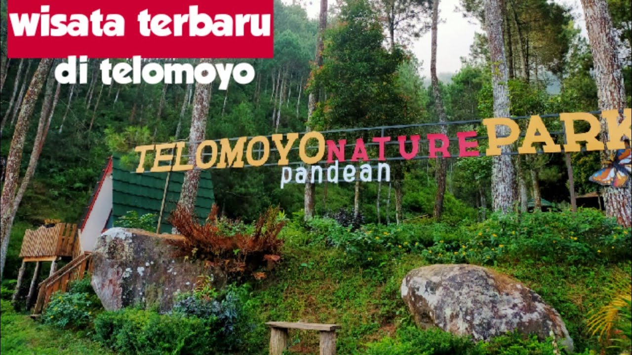 Telomoyo Nature Park: Surga Keanekaragaman Hayati di Jawa Tengah